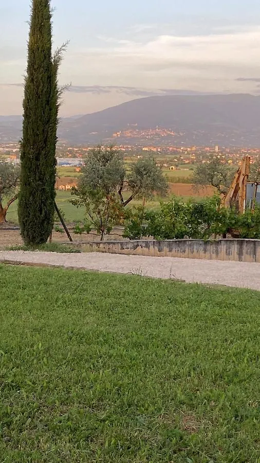 Апартаменты Casale In Collina Vista Assisi,Brufa Di Torgiano