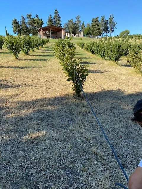 Апартаменты Casale In Collina Vista Assisi,Brufa Di Torgiano