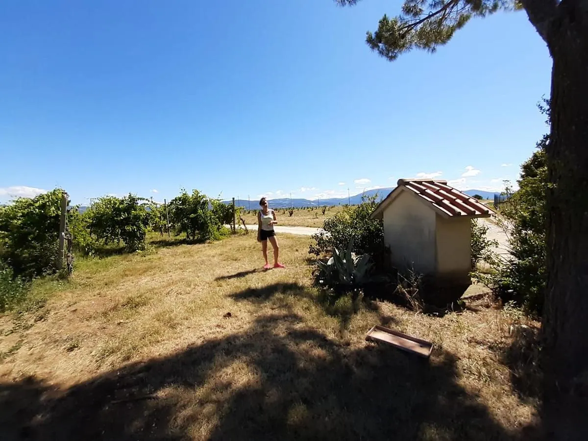 Апартаменты Casale In Collina Vista Assisi,Brufa Di Torgiano 0*, Бруфа