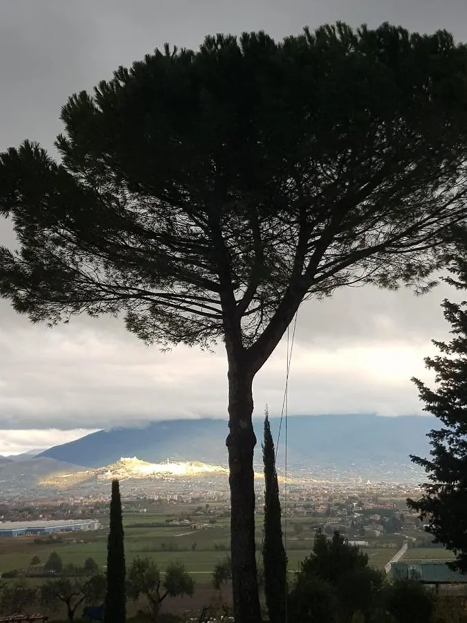 Апартаменты Casale In Collina Vista Assisi,Brufa Di Torgiano 0*, Бруфа Италия