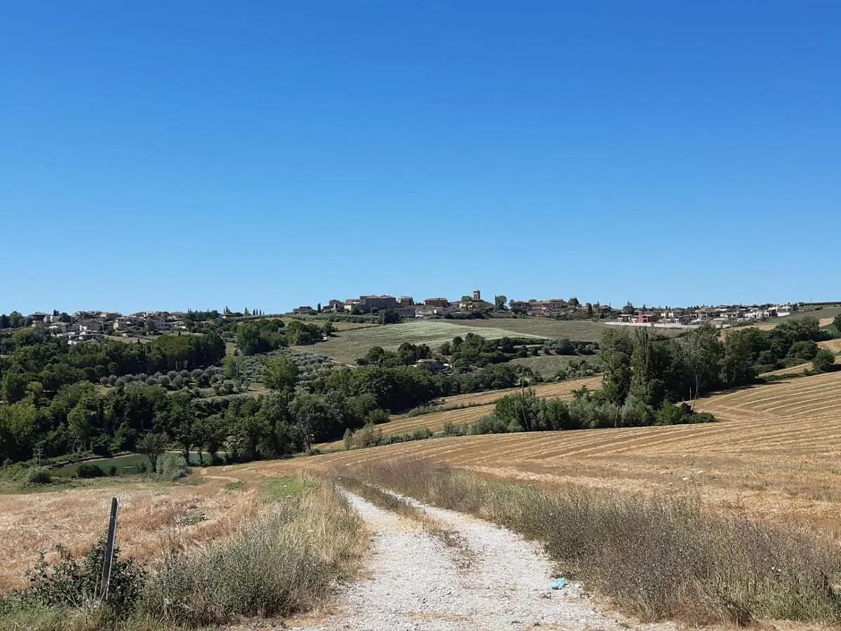 Апартаменты Casale In Collina Vista Assisi,Brufa Di Torgiano