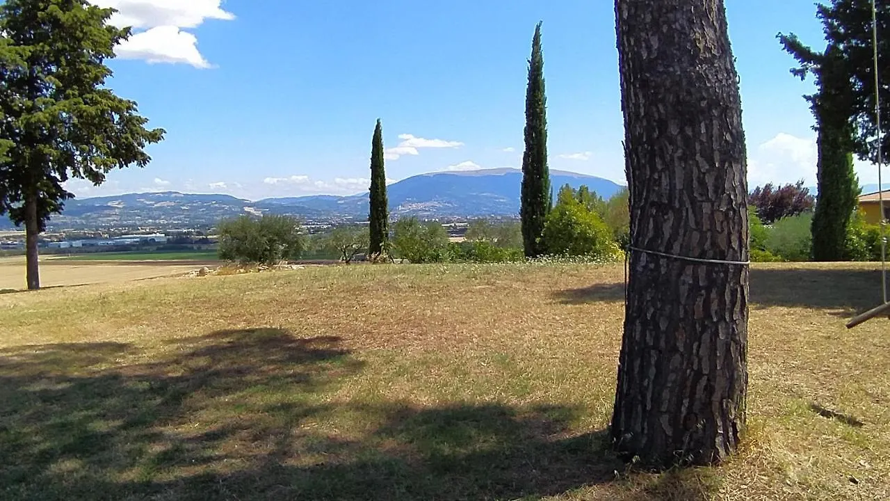 Апартаменты Casale In Collina Vista Assisi,Brufa Di Torgiano