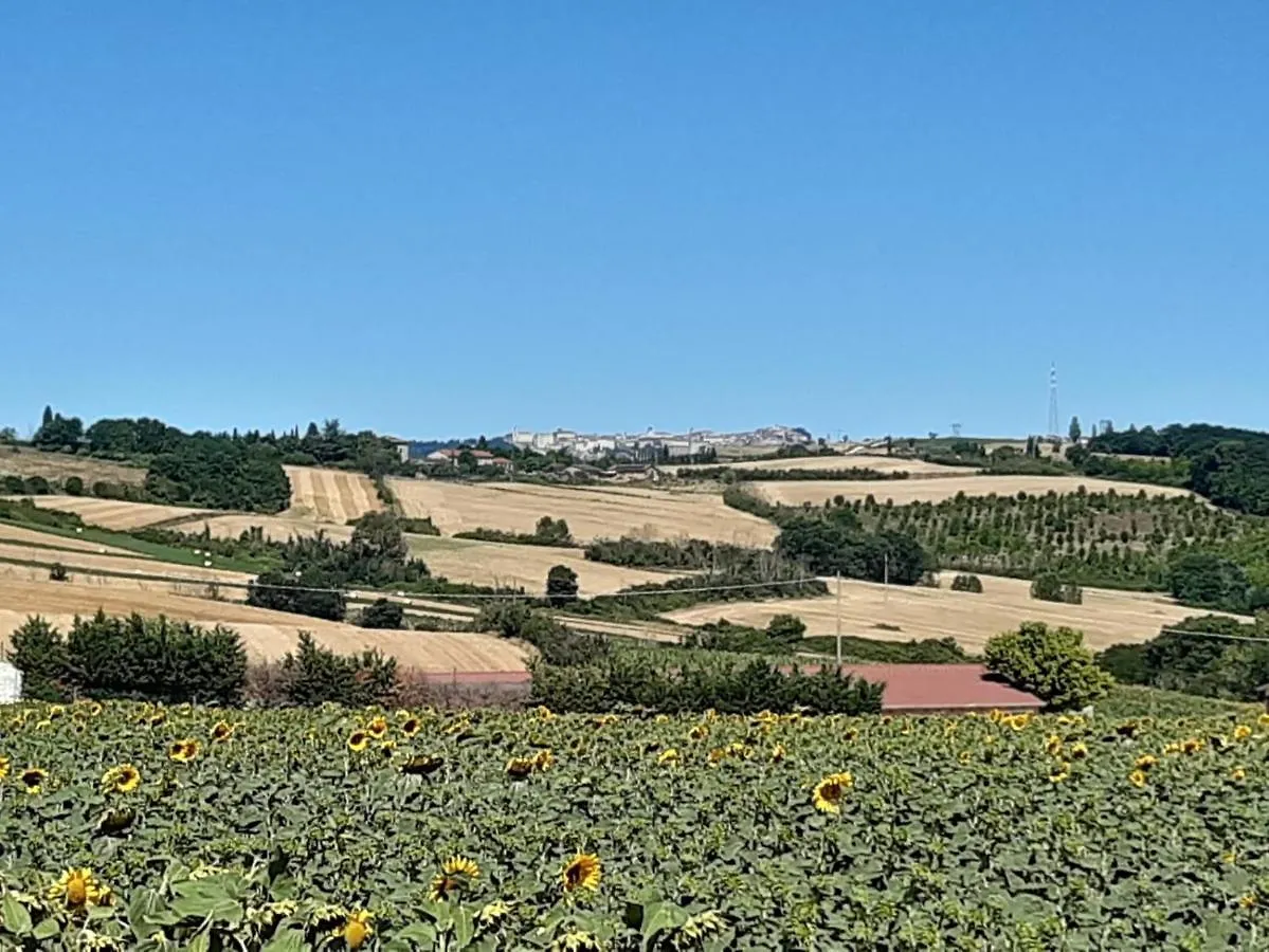 Апартаменты Casale In Collina Vista Assisi,Brufa Di Torgiano Италия